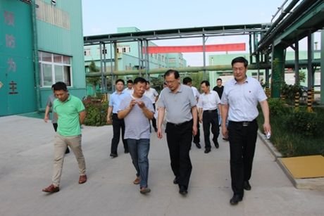 山东省政府调研组到肥城调研指导制造业标准化工作 山东省政府调研组到肥城调研指导制造业标准化工作