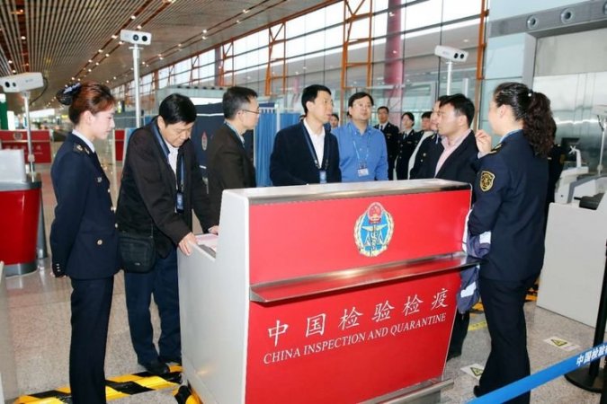 郭辉司长、宋悦谦副司长一行调研首都机场马达加斯加鼠疫防控工作