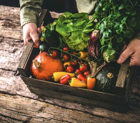 2020年欧洲食品和农业标准化工作规划