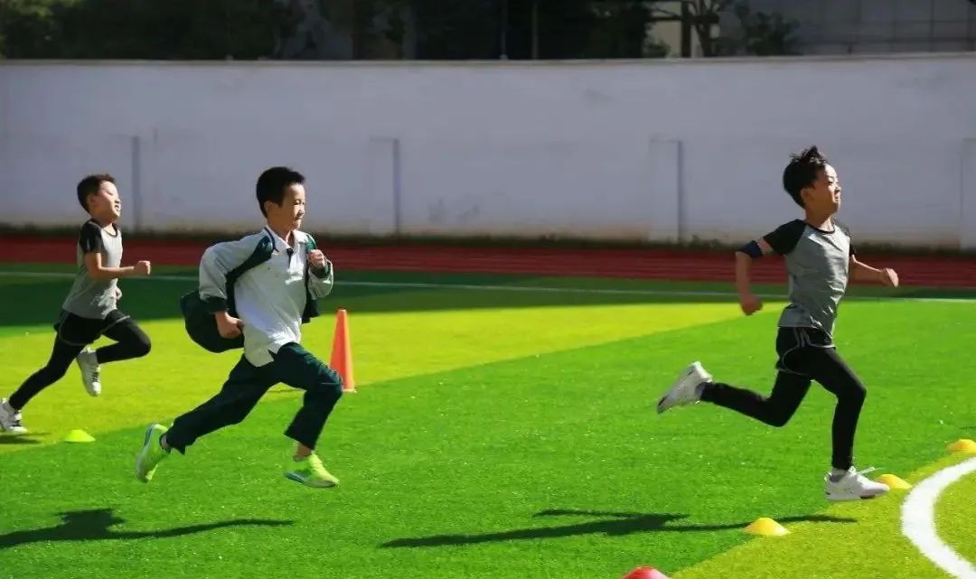 教育部：国家学生体质健康标准测试达标优良率达到33%